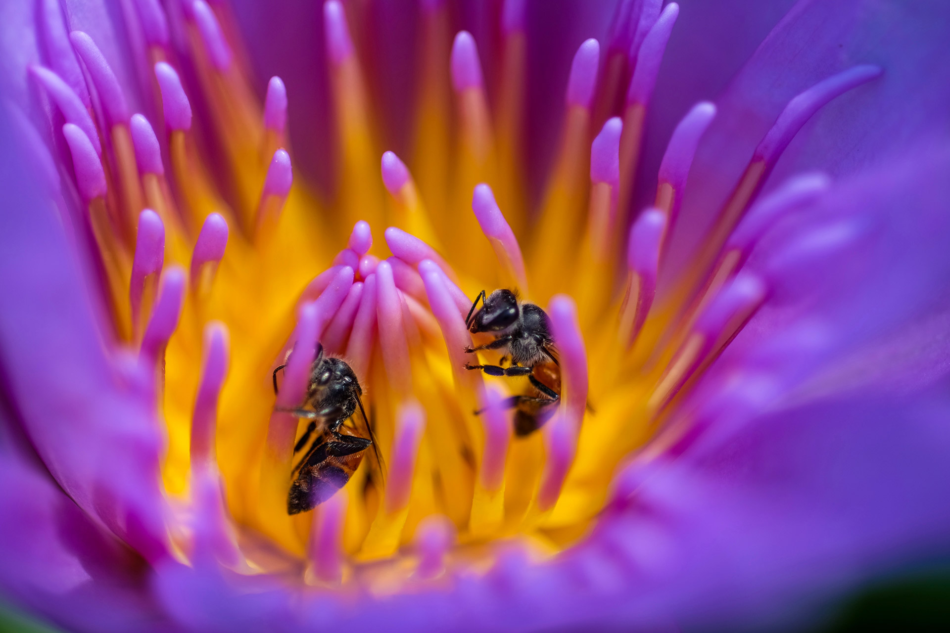 home_slider3