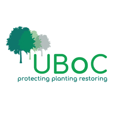 United Bank of Carbon